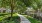 Trail